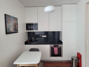 appartement 2 pièces en location sur BOULOGNE BILLANCOURT (92100)