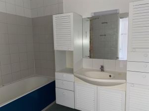appartement 2 pièces en vente sur PARIS (75015)
