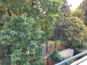 appartement 3 pièces en location sur SURESNES (92150)
