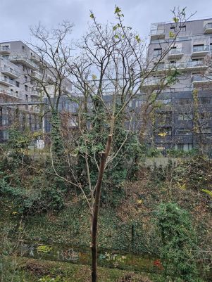 appartement 2 pièces en location sur PARIS (75014)