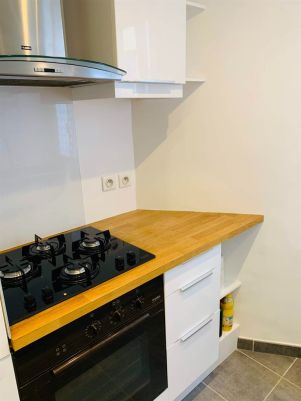 appartement 2 pièces en location sur PARIS (75015)